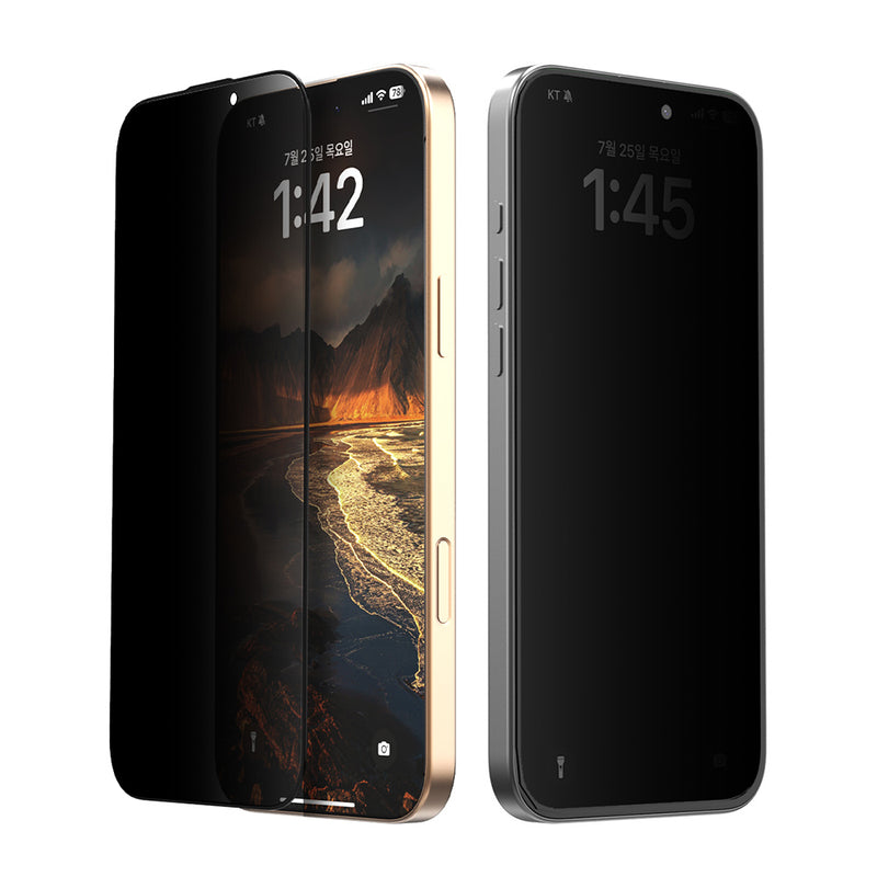 Araree Apple iPhone 16 Pro Max 防窺強化玻璃螢幕保護貼(2片裝)